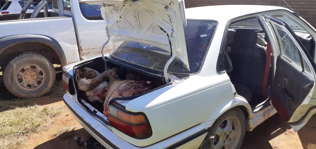 Stock theft in Mpumalanga a scourge