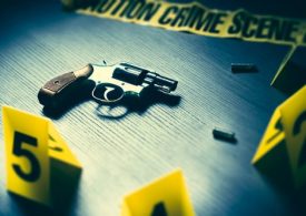 BUSINESSWOMAN SLAIN IN SUSPECTED HIT