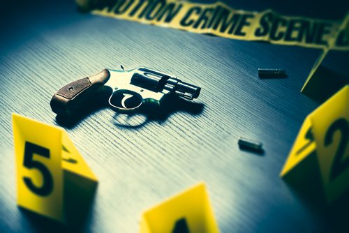 BUSINESSWOMAN SLAIN IN SUSPECTED HIT