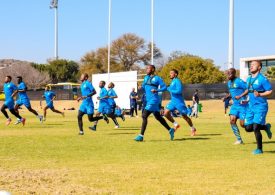 NEW FACES REPORT FOR DOWNS PRE-SEASON