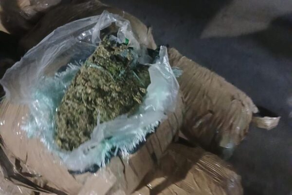 Police seize R500K Illegal Medicine, Dagga Shipment in Limpopo